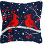 Latch Hook Rug Kit Pastel Embroidery Home decorations Pillow Case Set with Ergonomic Hook Tools