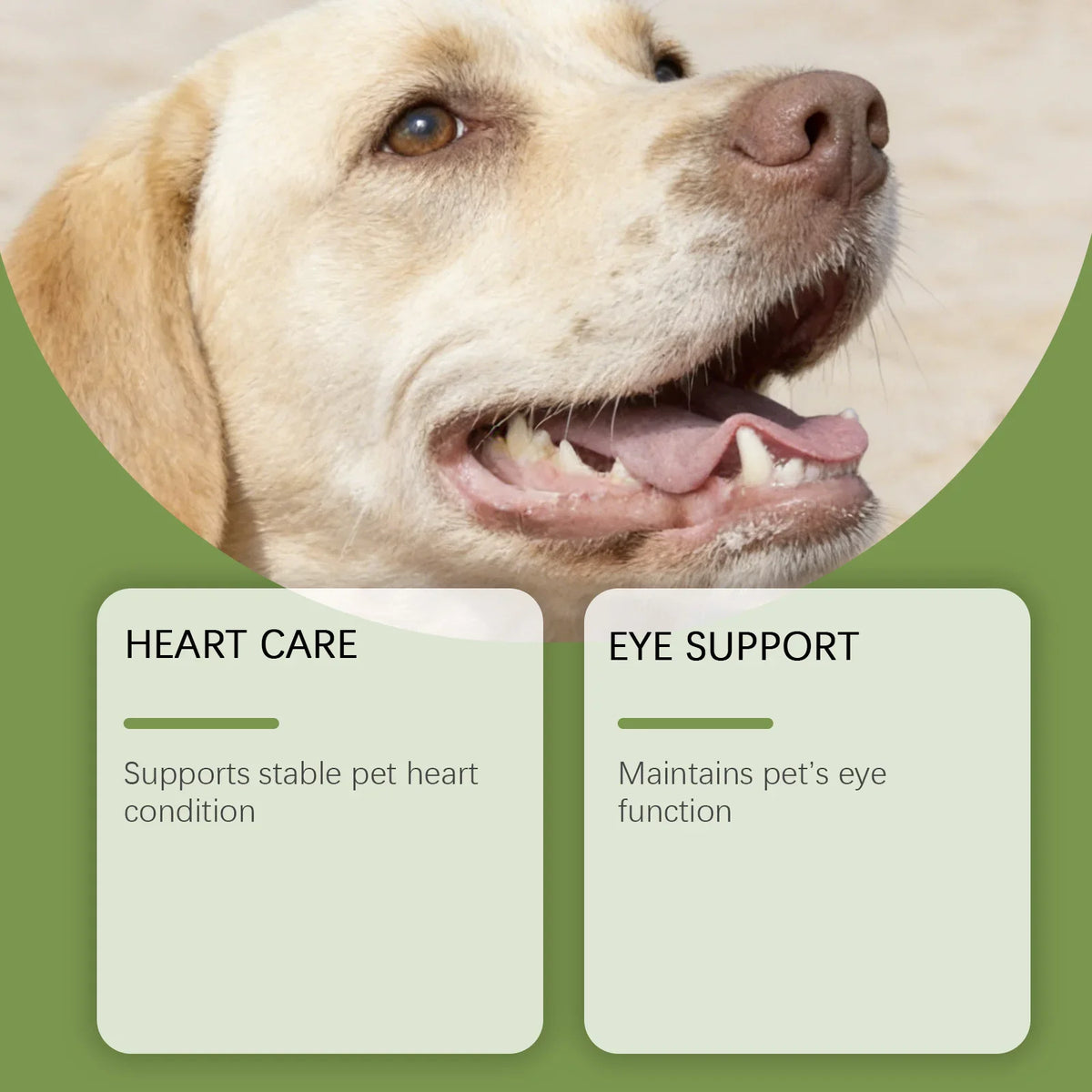 Dog Taurine Powder Easy-To-Mix Support Cognitive Health Enhance Hair Radiance Improve Heart Wellness Pet Nutritional Supplements