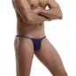 CLEVER-MENMODE Men's Sexy Lingerie Penis Bag Mini Underwear Ultra-Thin Transparent Panties Bikini Briefs Gay G-string Suspenders