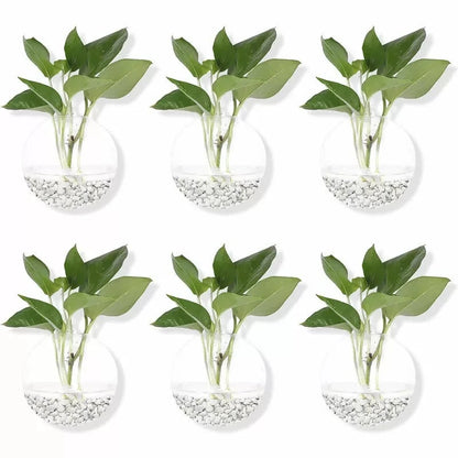 2/4/6/8 Pack Wall Hanging Glass Terrarium - Self-Watering Hydroponic