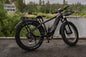 High-Quality eBike with 52V 750W Motor - 17AH Long Range