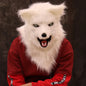 Movable Mouth Fox Mask Halloween Costume Cosplay Party Mouth Mover Wolf Masks Animal Panda Husky Orangutan Artificial Fur Mask