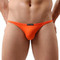 BRAVE PERSON Sexy Underwear Men Mini Briefs Low Waist Sexy Underpants Smooth Ice Silk Nylon Male Panties Bikini Briefs B1133