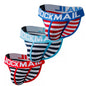 3PCS/Lot Cotton Sexy Man's Underwear Briefs Underpants Breathable Ropa Interior Hombre Gay Underwear Calzoncillos Hombres Slip