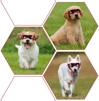 Pet UV Goggles: Cool Eyewear for Dogs & Cats