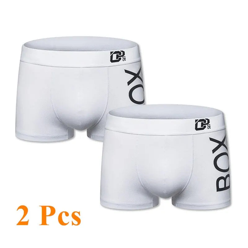 ORLVS Box Men's Boxer
