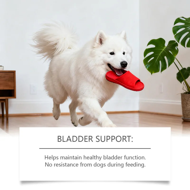Dog Body Care Drops Daily Care For Pet Health, Comfortable Daily Supplement Drops For Dogs