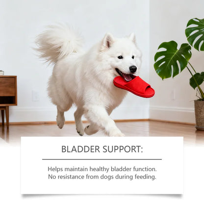 Dog Body Care Drops Daily Care For Pet Health, Comfortable Daily Supplement Drops For Dogs
