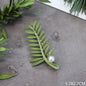 Creative Handmade Exquisite Green Plant Brooch Corsage Woman Retro Pearl Brooches Coat Accessories Jewelry