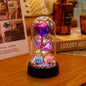 LED Valentine Day Gift For Girlfriend Eternal Rose Light 24K Gold Foil Flower In Glass Cover Mothers Day Wedding Bridesmaid Gift