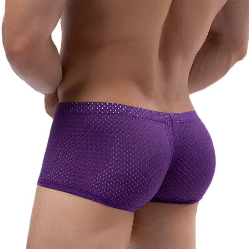 Men's Mesh Underwear Boxer Briefs See Through