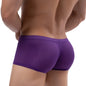 Men's Mesh Underwear Boxer Briefs See Through