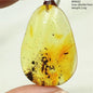 Natural Amber Pendant From Baltic Flower Yellow Amber Water Drop Women Men Jewelry Reiki Stone Women Men AAAAAAA
