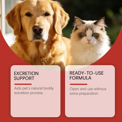 Coconut Shell Care Gel for Dogs Cats Intestinal Support Digestive Health Supplement Relief Digestive Balance Gut Health Care