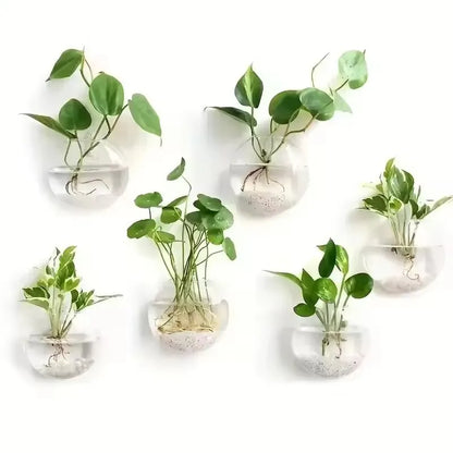 2/4/6/8 Pack Wall Hanging Glass Terrarium - Self-Watering Hydroponic