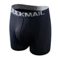 Sexy Men Underwear Men's Boxer 3D Hammock-shaped Pouch Designed Breathable Mesh Panels Men Boxershorts Trunk Male Underpants