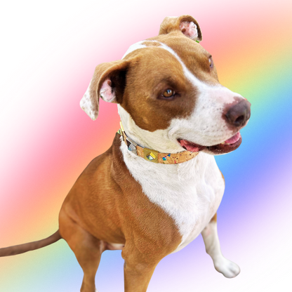 Iridescent Rainbow Diamond Charm – Gold or Silver | DIPHDA