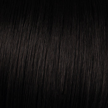 POWER - Wig by Raquel Welch