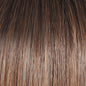 Straight to Camera Wig By Raquel Welch-Sheer Luxury-Feather Lite SS8/29 SS Hazelnut