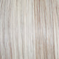Influence Elite - Wig by Raquel Welch