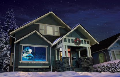 Winter Wonderland Digital Decorations DVD for Winter and Christmas Holiday Projection Decorating