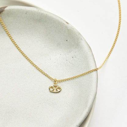 January Birthday Necklace, Multiple Styles Necklace