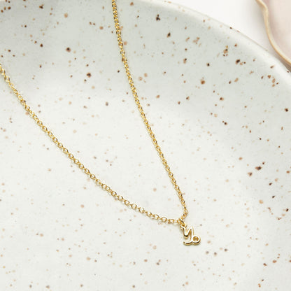 January Birthday Necklace, Multiple Styles Necklace