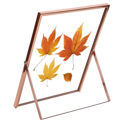 2Pcs Standing Rose Gold Metal Picture Frames 5x7IN 8x10IN Vertical Tabletop Floating Photo Frame Double-Glazed Glass Pressed Flower Frame for Home Dec