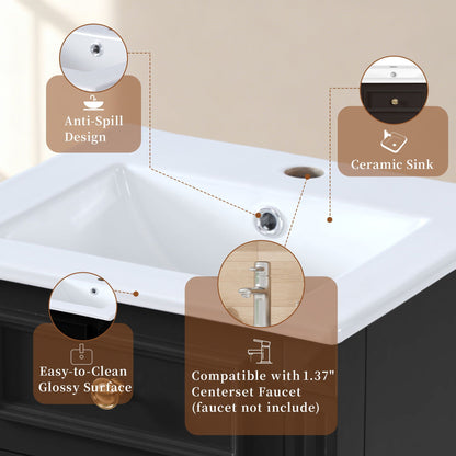 Bathroom Vanity With Sink, Soft-Closing Door, Adjustable Shelf