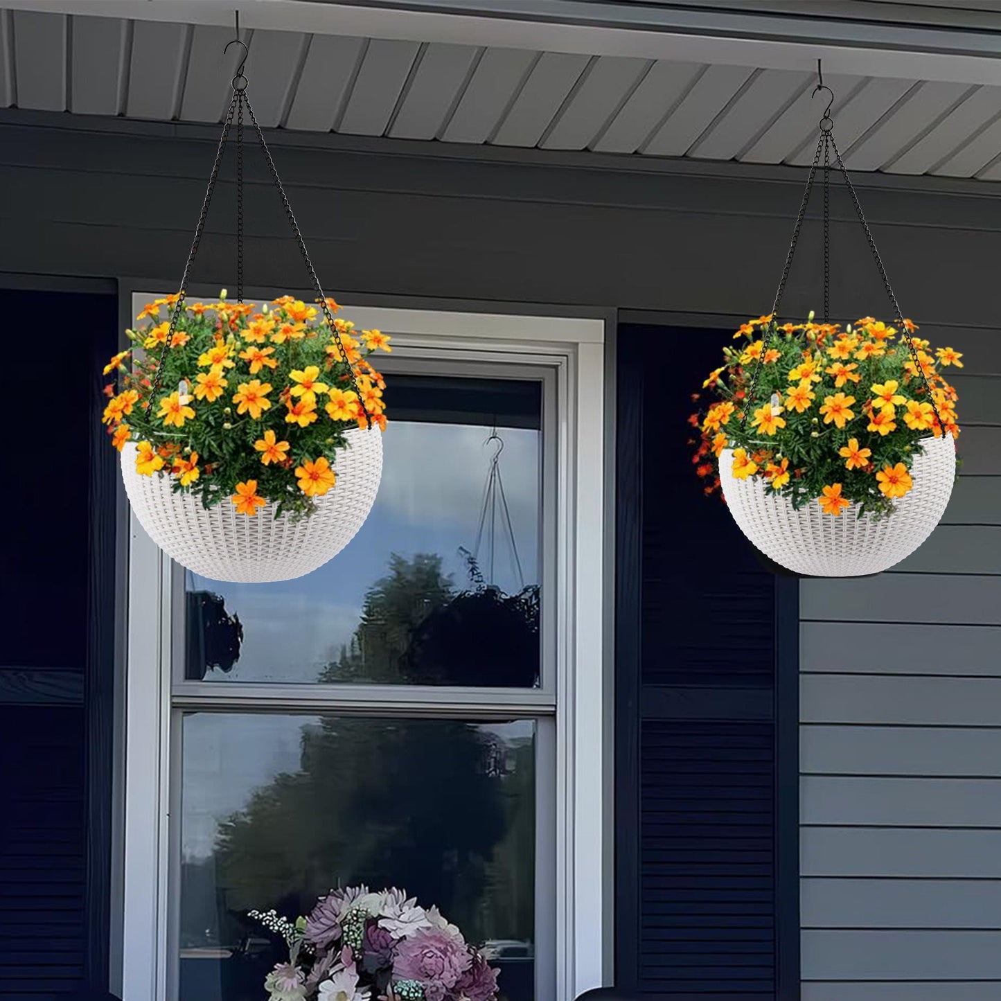 Self Watering Hanging Planter