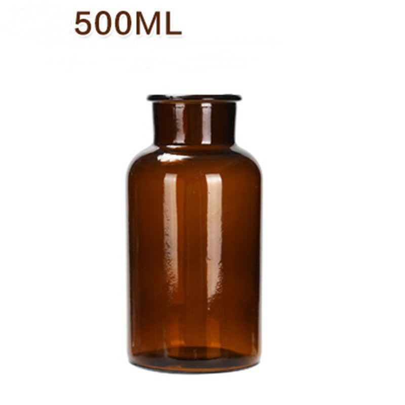 Hydroponic Plant Glass Bottle Living Room Decorations