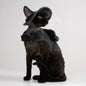 Adjustable Traction Vest And Fisherman's Hat Set For Walking A Cat In Devon.