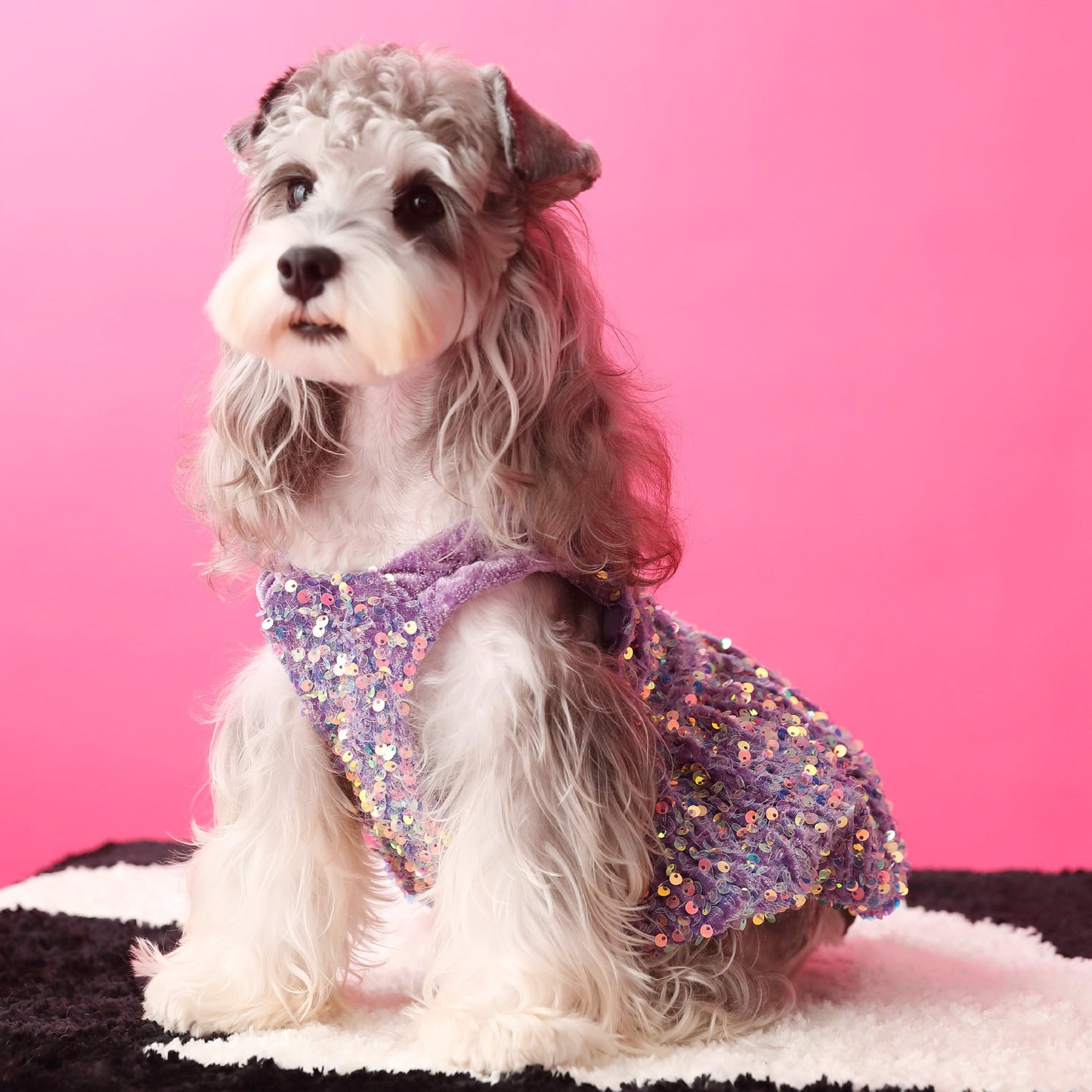 Female Dog Clothes Autumn Dress Velvet Sequins