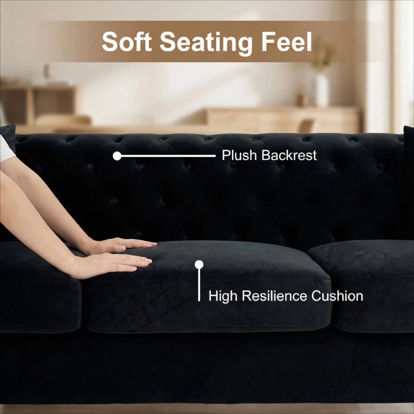FX-P83-BK4 Sofa with 2 Pillows