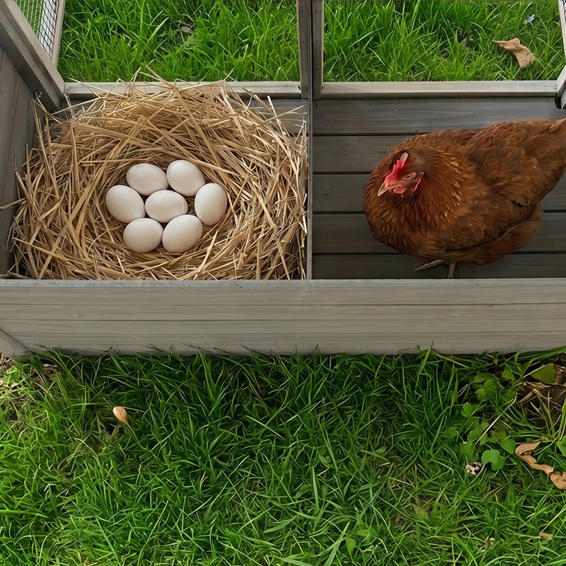 Large Chicken Coop with 20.93 Sq Ft Run
