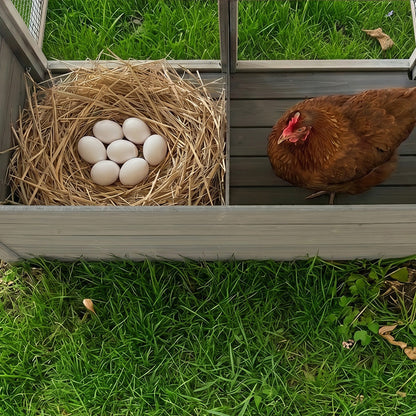 Large Chicken Coop with 20.93 Sq Ft Run