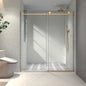 6076 Brushed Shower Door