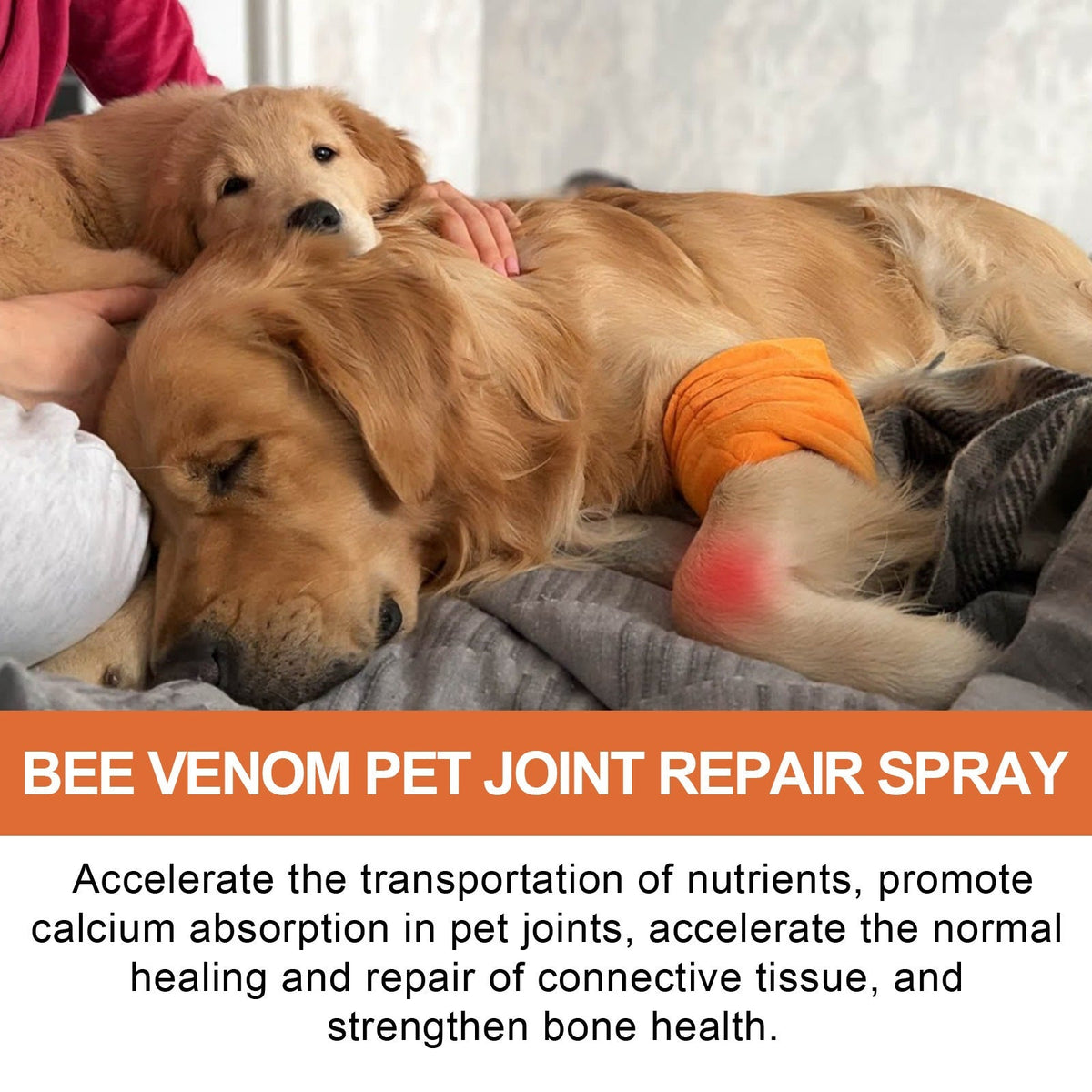 Yegbong Pet Joint Care Spray Pet Joint Care Spray For Relieving Discomfort In Pet Joints And Muscle Weakness