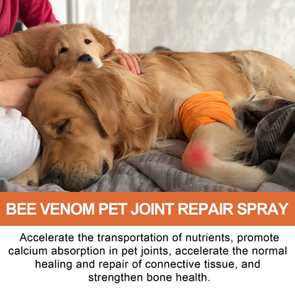 Yegbong Pet Joint Care Spray Pet Joint Care Spray For Relieving Discomfort In Pet Joints And Muscle Weakness