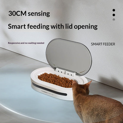 Sensor-Activated Smart Automatic Cat Feeder