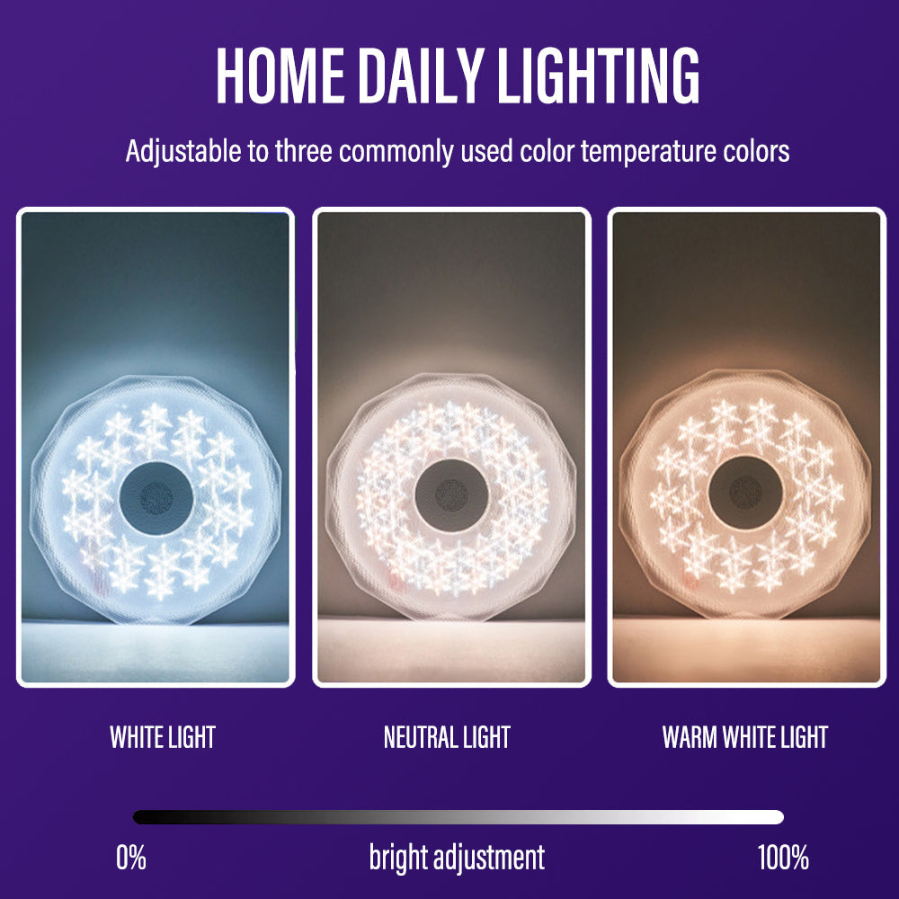 Bluetooth Ceiling Lamp Intelligent RGB Colorful Music