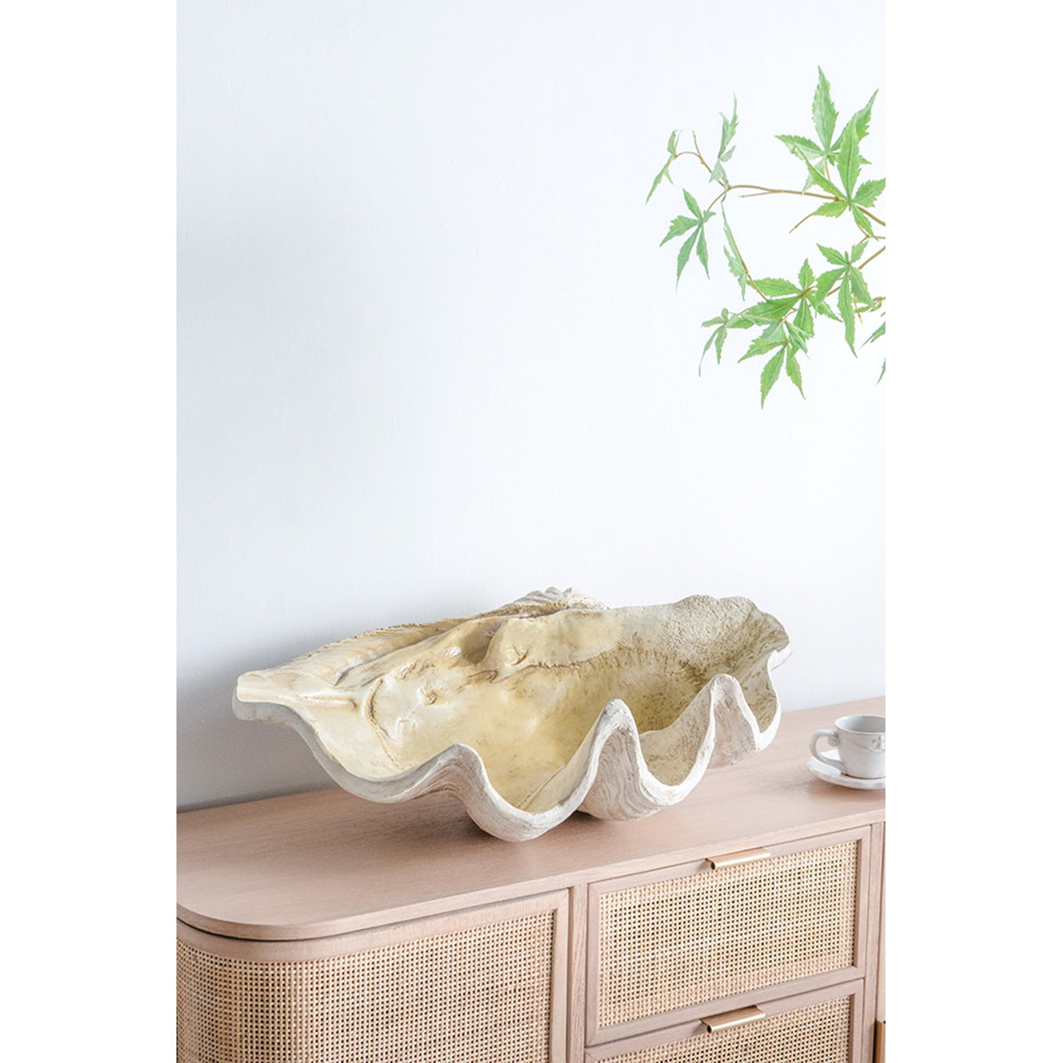 Large Clam Shell Accent 25.3x16.5x8.5"