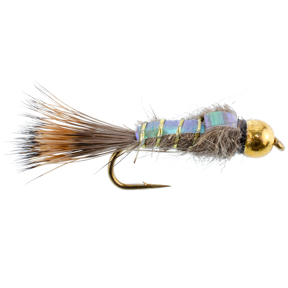 Basics Collection - Copper John - Flash Back Nymph Kit - 10 Flies #10-16