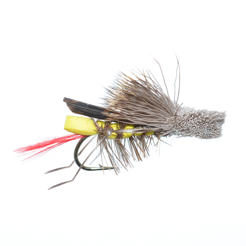 Basics Collection - Terrestrials Fly Assortment - 10 Flies - Sizes 10-14