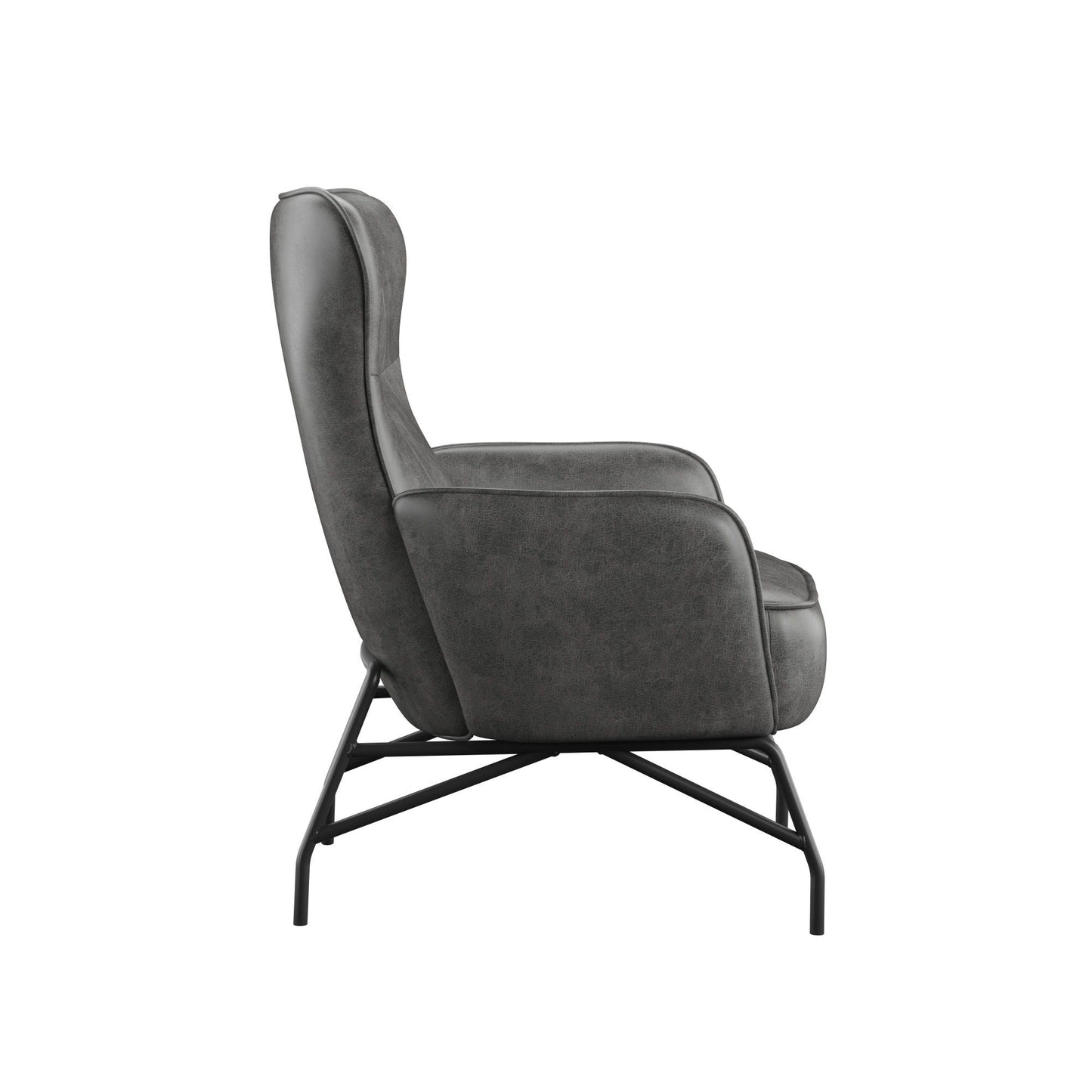 Contemporary Style Accent Chair