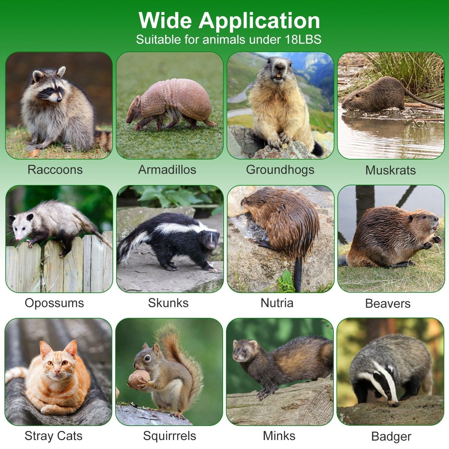 38in 2 Door Live Animal Cage Trap For Animals Under 18LBS Easy To Setup Humane Galvanized Iron Trap Cage For Raccoons Armadillos Groundhogs Muskrats O