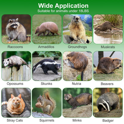 38in 2 Door Live Animal Cage Trap For Animals Under 18LBS Easy To Setup Humane Galvanized Iron Trap Cage For Raccoons Armadillos Groundhogs Muskrats O