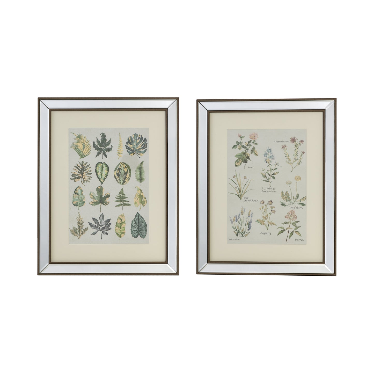 Set of 2 Liana Mirror Framed Wall Art