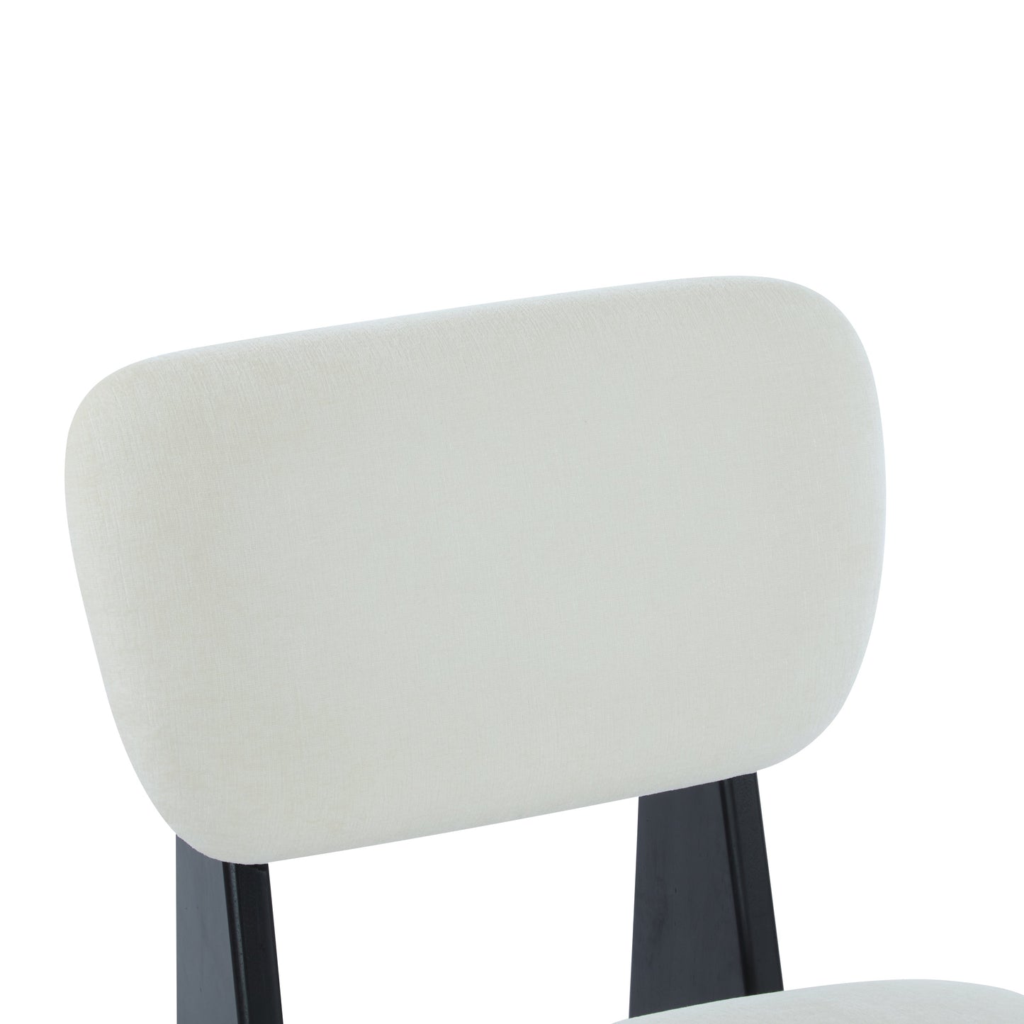 Set of 2 Modern Chairs
