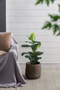 12.6x12.6x11.8" Cement Planter Small, Indoor Outdoor Garden Functional Decor